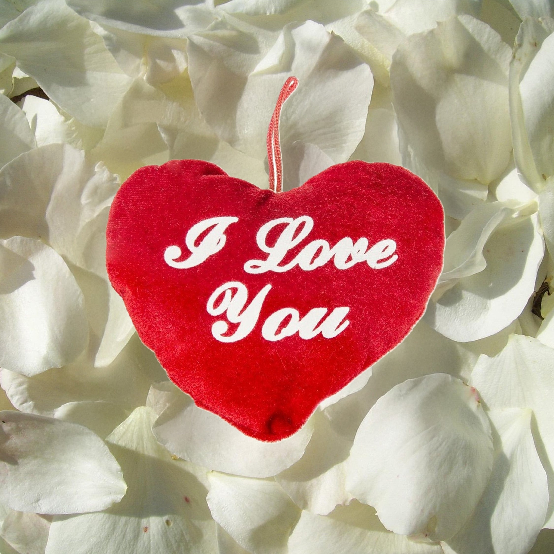 hart-kussen-rood-i-love-you-13-cm-pluche-valentijn-cadeau-hartjeskussen_10243455-1