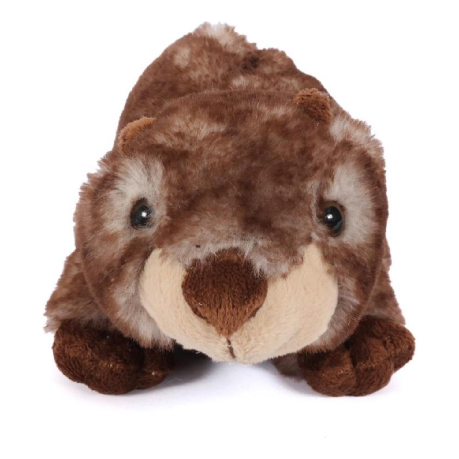 bever-knuffel-zachte-pluche-bruin-18-cm_10431521-5