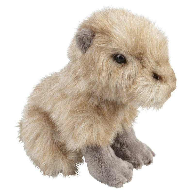ravensden-pluche-knuffeldier-waterzwijn-capibara-beige-zittend-18-cm-speelgoed_10141522