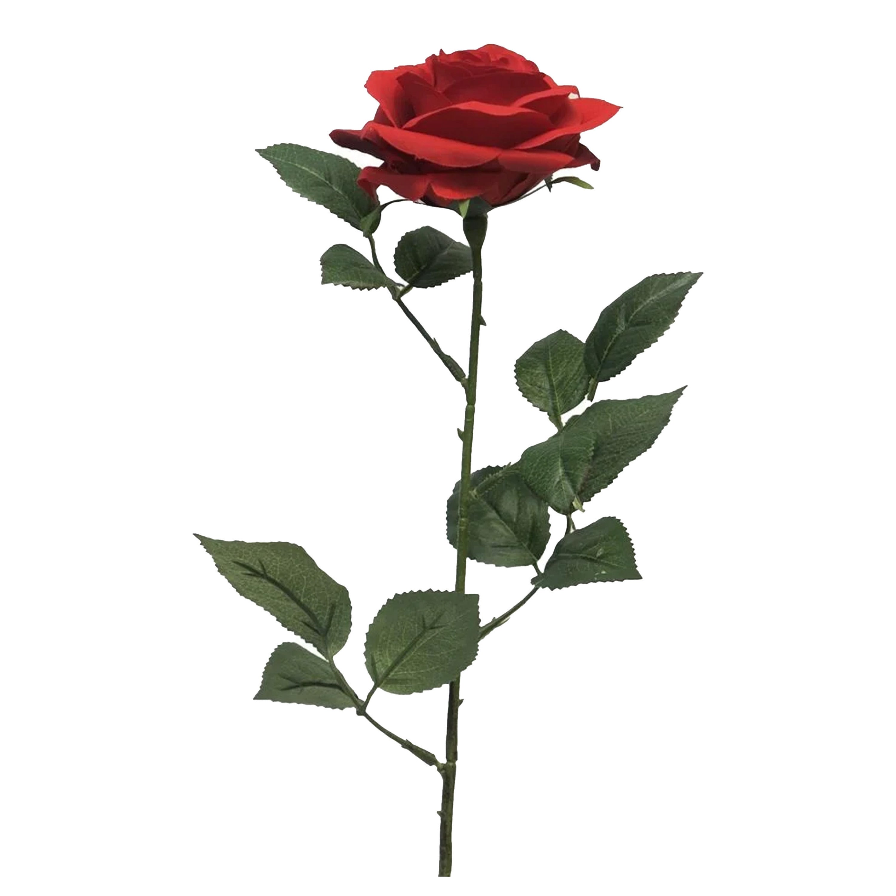 valentijnscadeau-beertje-en-roos-kunstbloem-rood-cadeau-romantisch_10481538-2