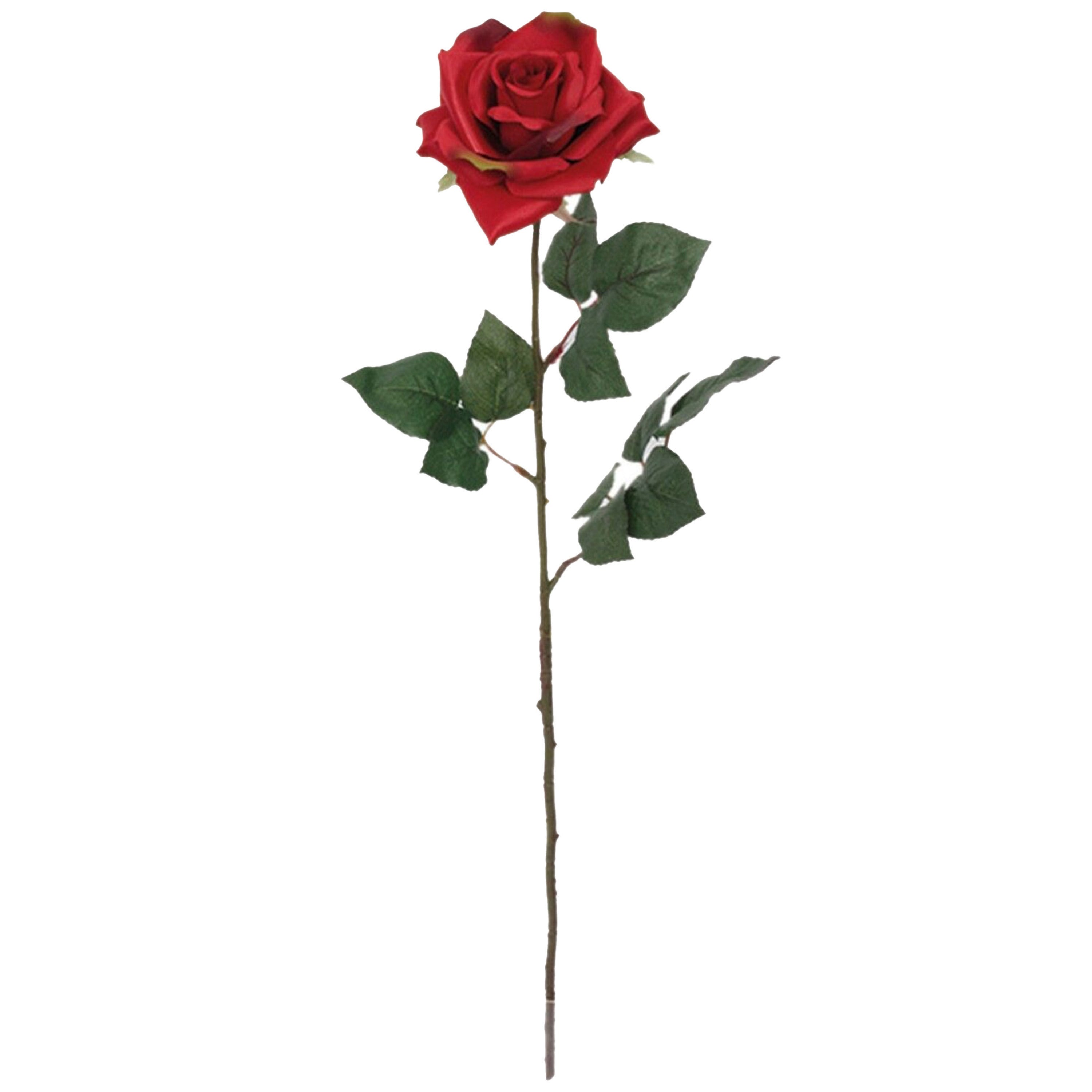 valentijnscadeau-beertje-en-roos-kunstbloem-rood-cadeau-romantisch_10481540-1
