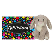 pluche-knuffel-cadeau-konijn-19-cm-met-a5size-gefeliciteerd-wenskaart_10351559
