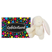pluche-knuffel-cadeau-konijn-20-cm-met-a5size-gefeliciteerd-wenskaart_10351560