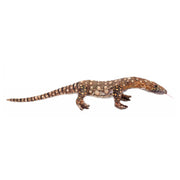 Leguaan knuffel - zachte pluche - 90 cm - reptiel - Pluchen speelgoed