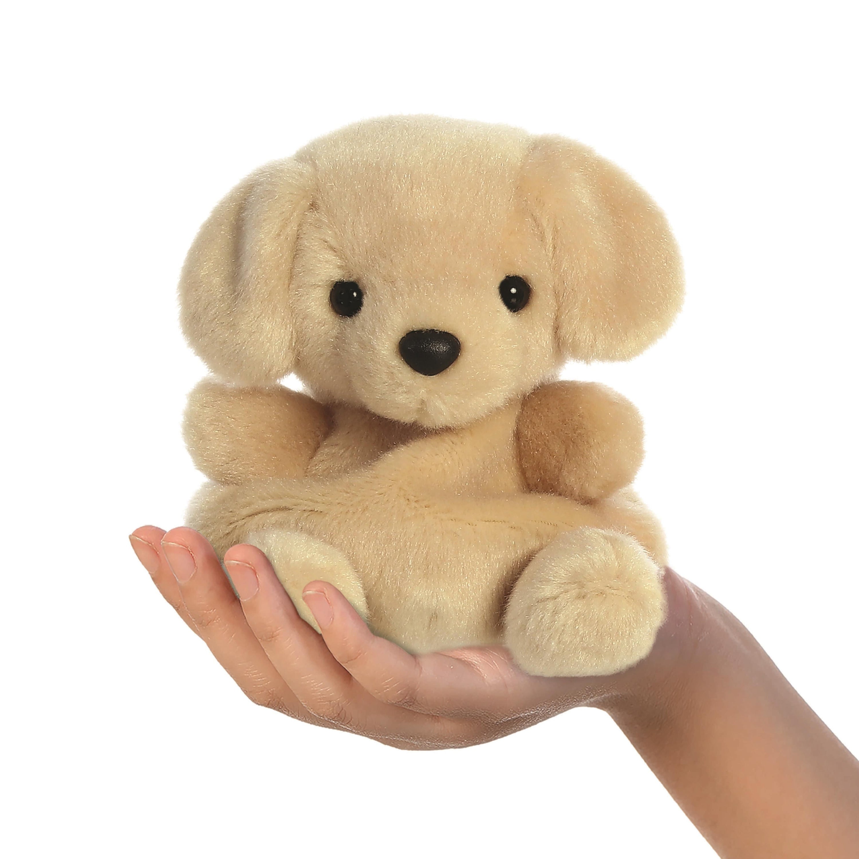 knuffeldier-labrador-hond-pluche-knuffel-beige-13-cm-huisdier-thema_10347604-1