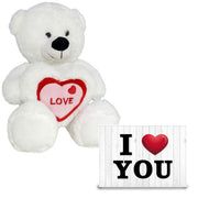 pluche-knuffel-valentijn-i-love-you-beertje-20cm-met-hartjes-wenskaart_10371619