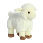 aurora-pluche-schaap-lammetje-knuffeldier-wit-20-cm-boerderij-knuffel_10347627-1