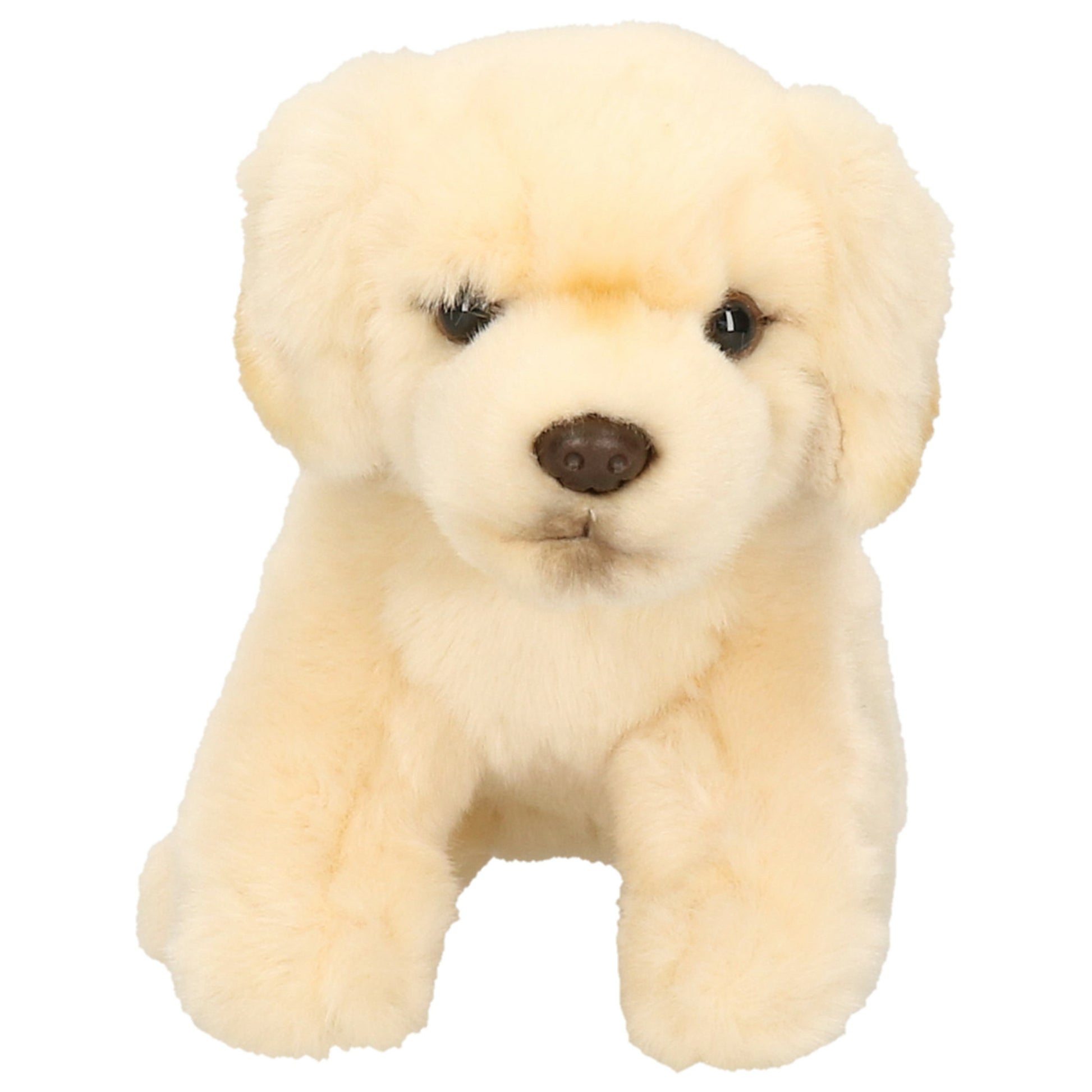 golden-retriever-knuffel-hond-pluche-creme-wit-15-cm_10429642-1