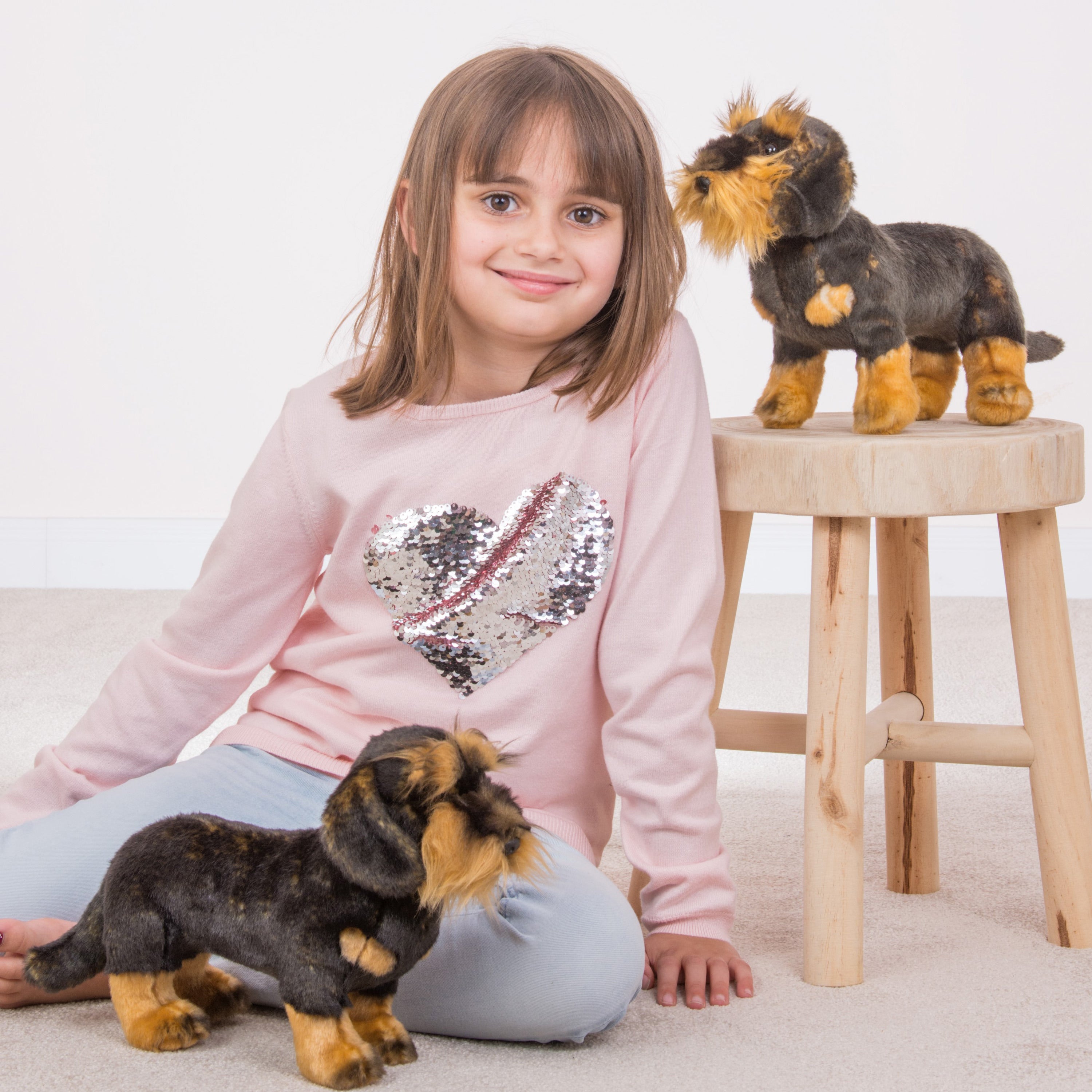 teckel-knuffel-hond-pluche-zwart-bruin-28-cm_10429669-1