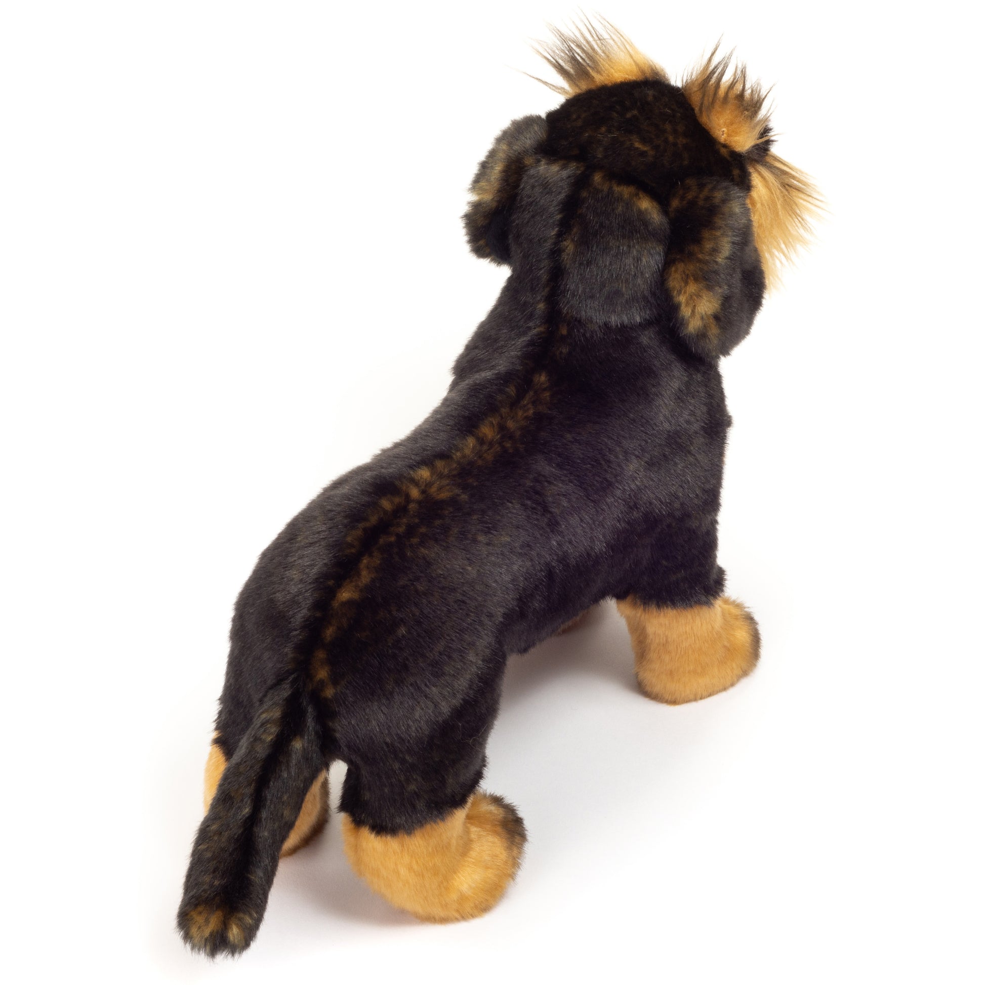 teckel-knuffel-hond-pluche-zwart-bruin-28-cm_10429669-3