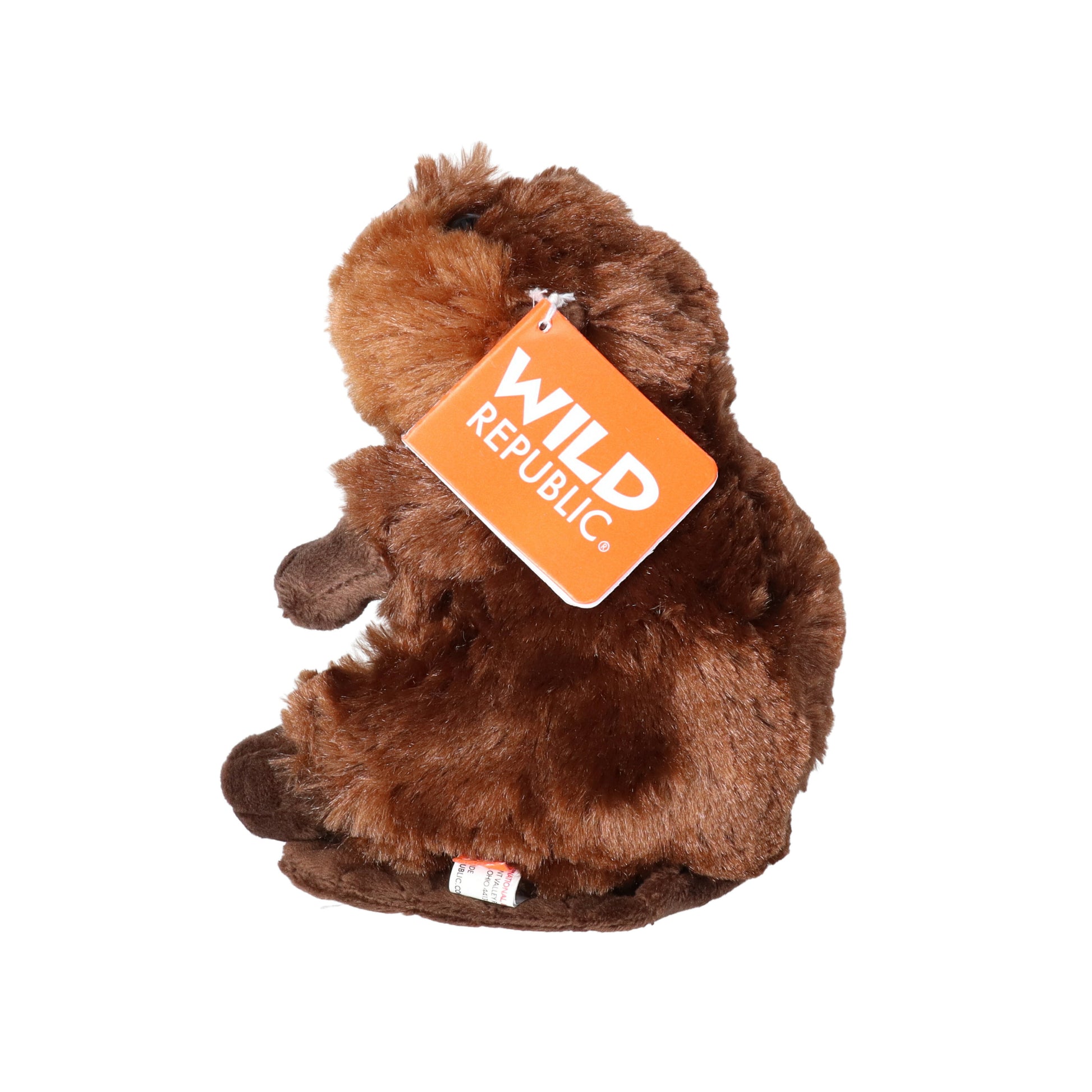 wild-republic-pluche-bever-knuffel-20-cm-bruin_10048672-2