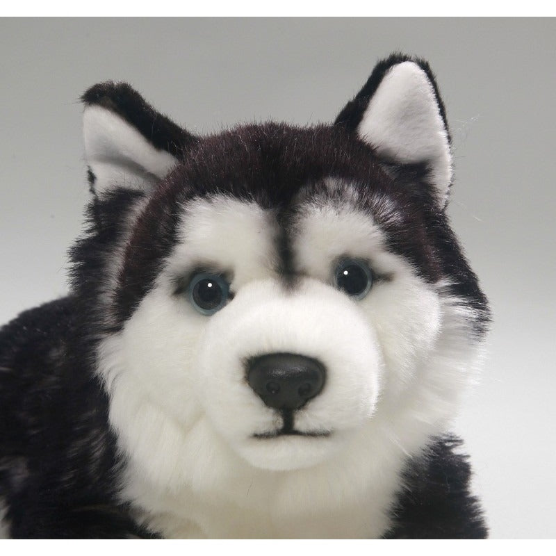 carl-dick-pluche-husky-hond-32-cm-liggend-knuffelhond-huisdier-hondenknuffel_10116680-1