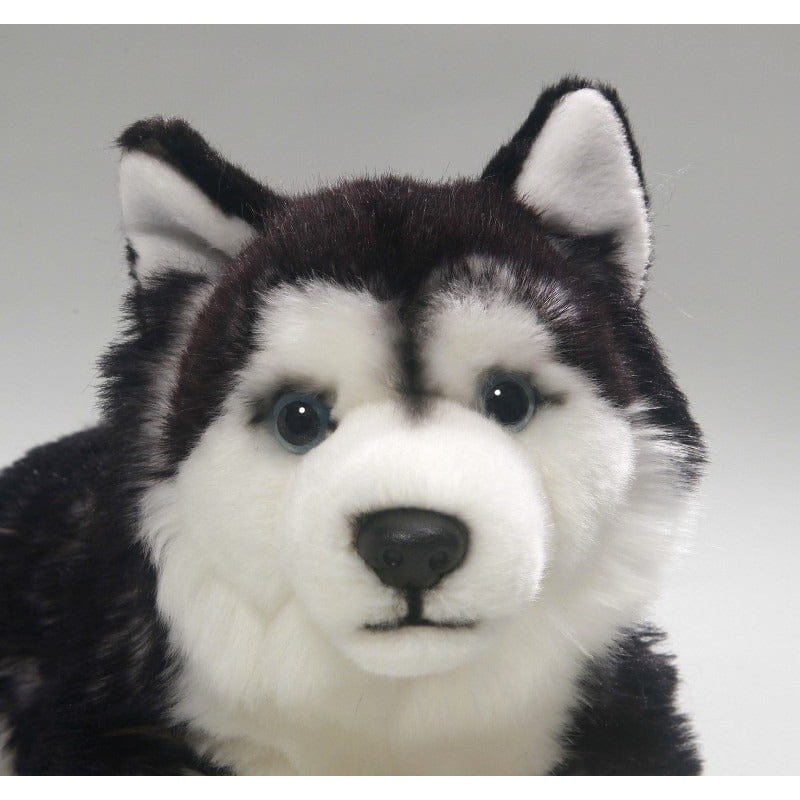 Carl Dick husky knuffel - pluche - liggend - 32 cm - Pluchen speelgoed