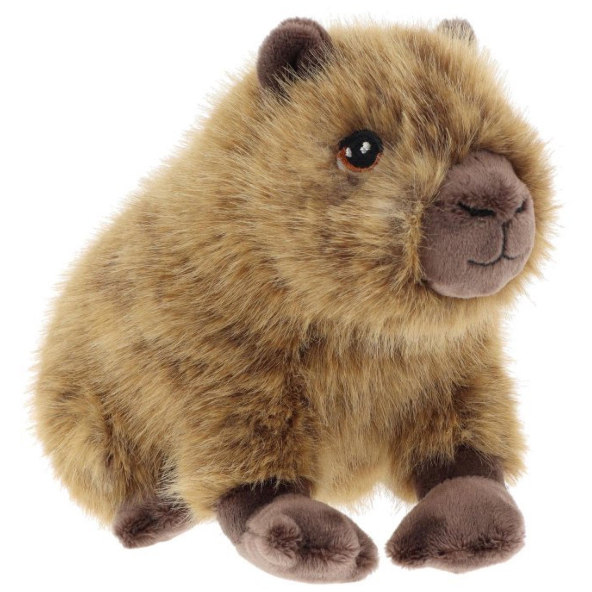 keel-toys-pluche-capybara-knuffeldier-bruin-zittend-25-cm-knuffel-capybara_10486704