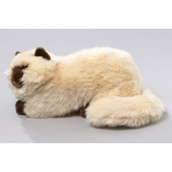 pluche-perzische-colourpoint-katten-poezen-wit-knuffel-30-cm_10059718-2