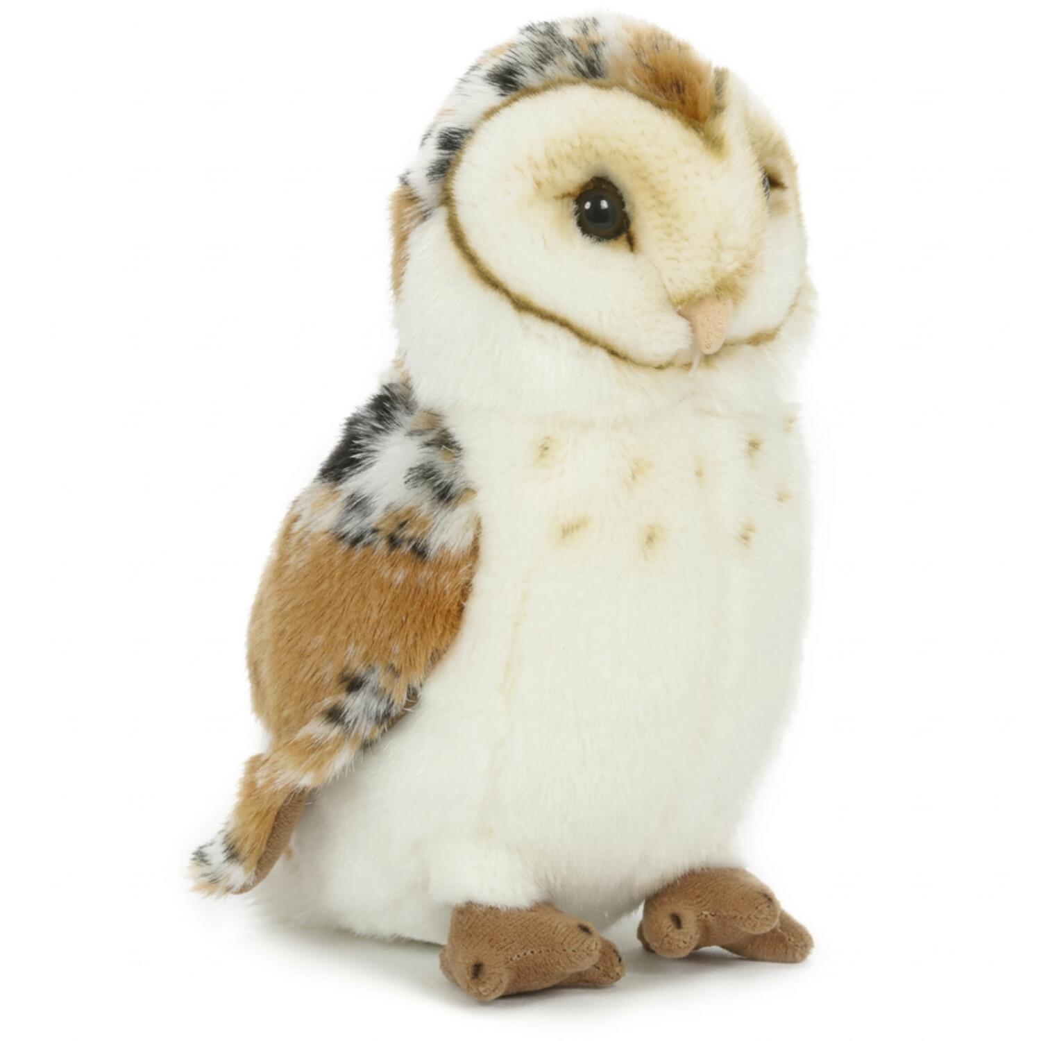 kerkuil-knuffel-pluche-20-cm-vogel-knuffel_10141727-6