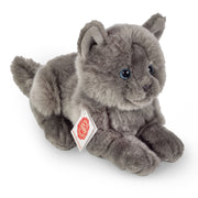 Kartuizer kat knuffel - pluche - grijs - 20 cm - Pluchen speelgoed