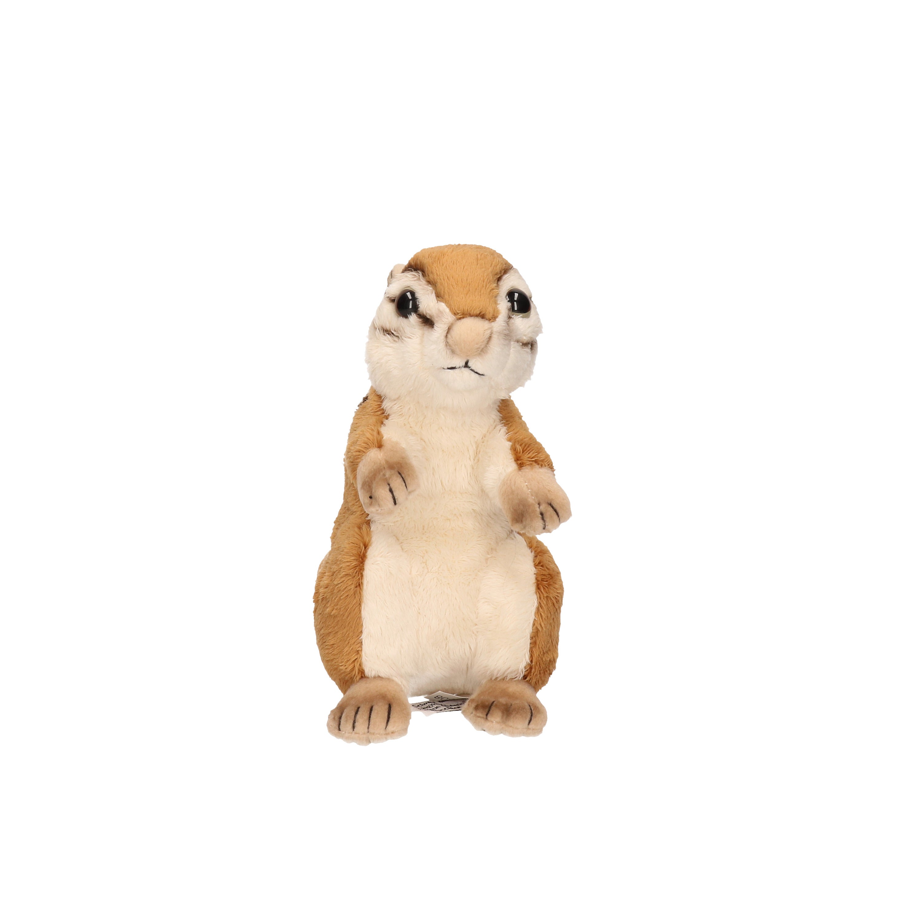 carldick-eekhoorn-knuffel-pluche-17-cm-zacht-speelgoed_10060809-4