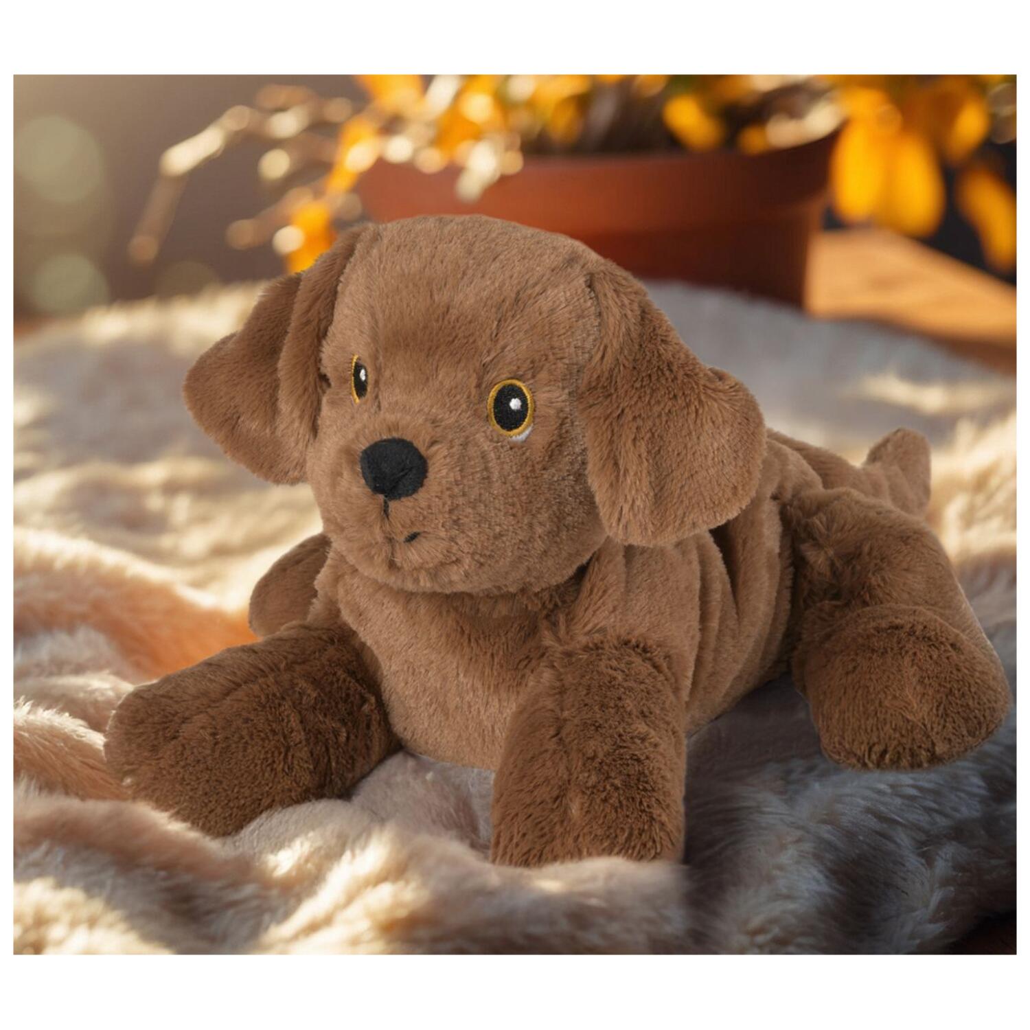 warmies-warmte-magnetron-knuffel-labrador-37-cm-pittenzak-opwarm-knuffel_10497836-1