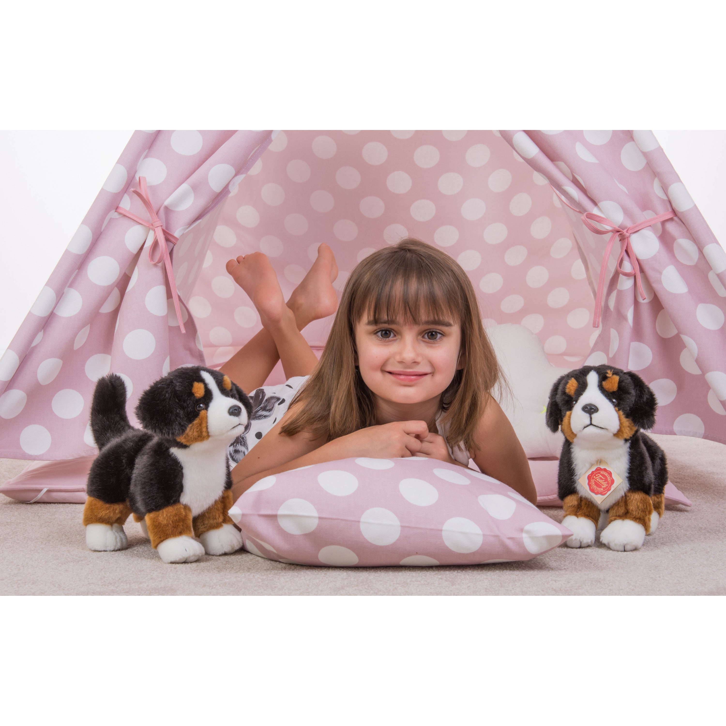 berner-sennen-knuffel-hond-pluche-23-cm-multi-kleuren_10431849-1