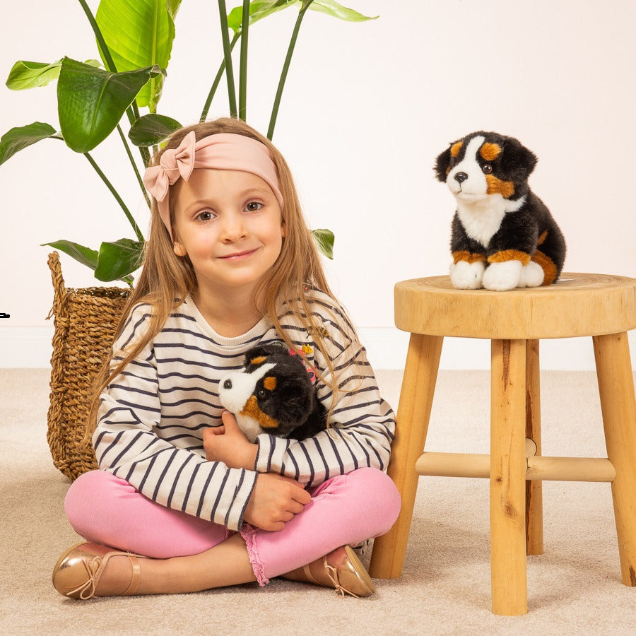 berner-sennen-hond-knuffel-pluche-21-cm-hondenknuffel_10431851-3