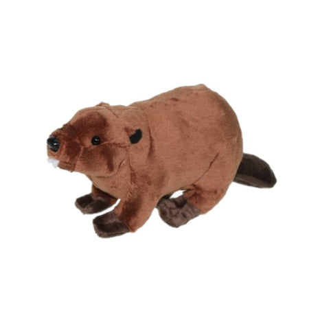 pluche-knuffel-dier-bever-bruin-24-cm_10055869-1
