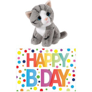 Grijze kat knuffel - pluche - 14 cm - Happy Birthday kaart - cadeau set - Pluchen speelgoed