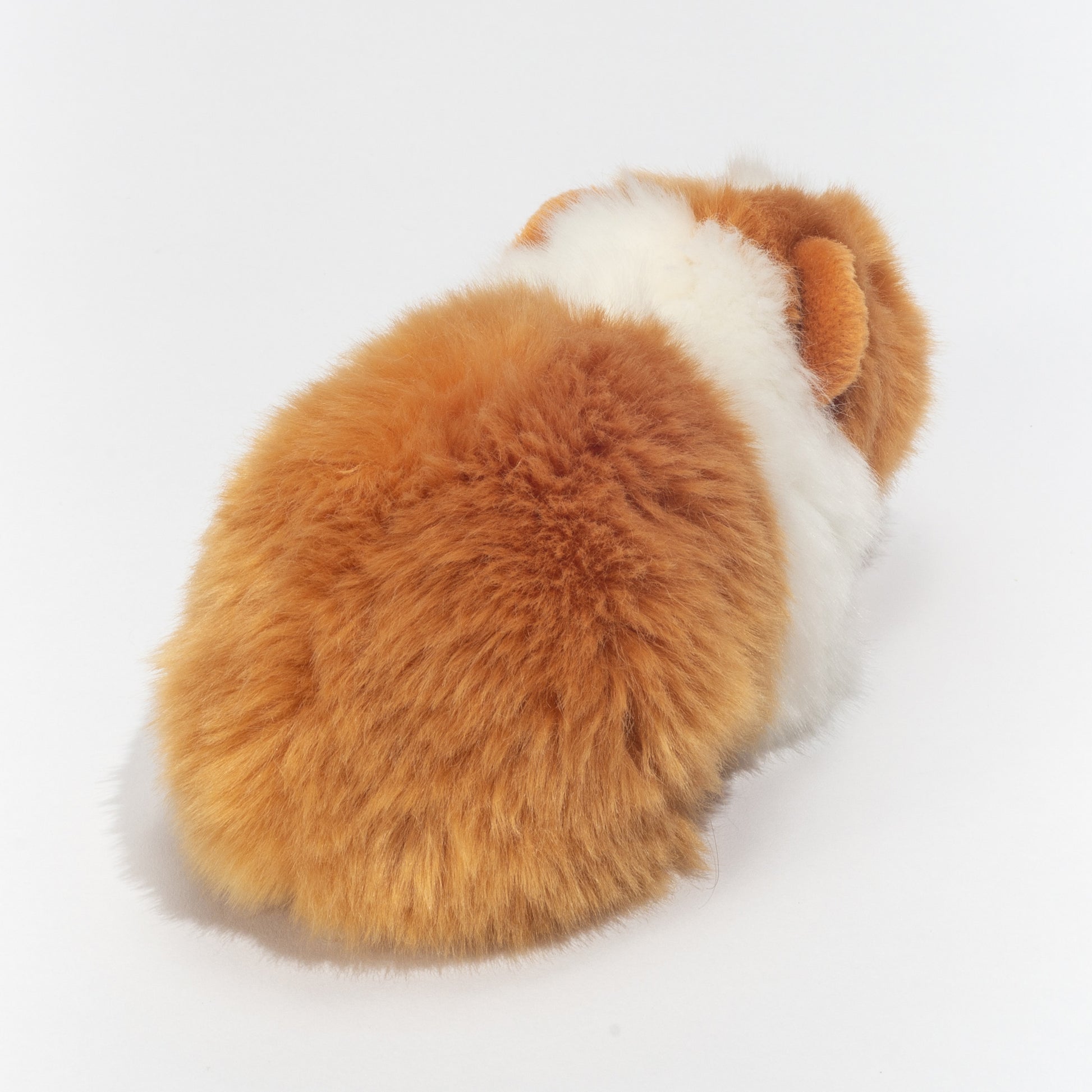 knuffeldier-cavia-zachte-pluche-stof-premium-kwaliteit-knuffels-multi-kleuren-20-cm_10429922-3