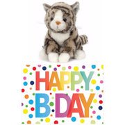 cadeau-setje-pluche-grijze-kat-poes-knuffel-16-cm-met-happy-birthday-wenskaart_10250924-1