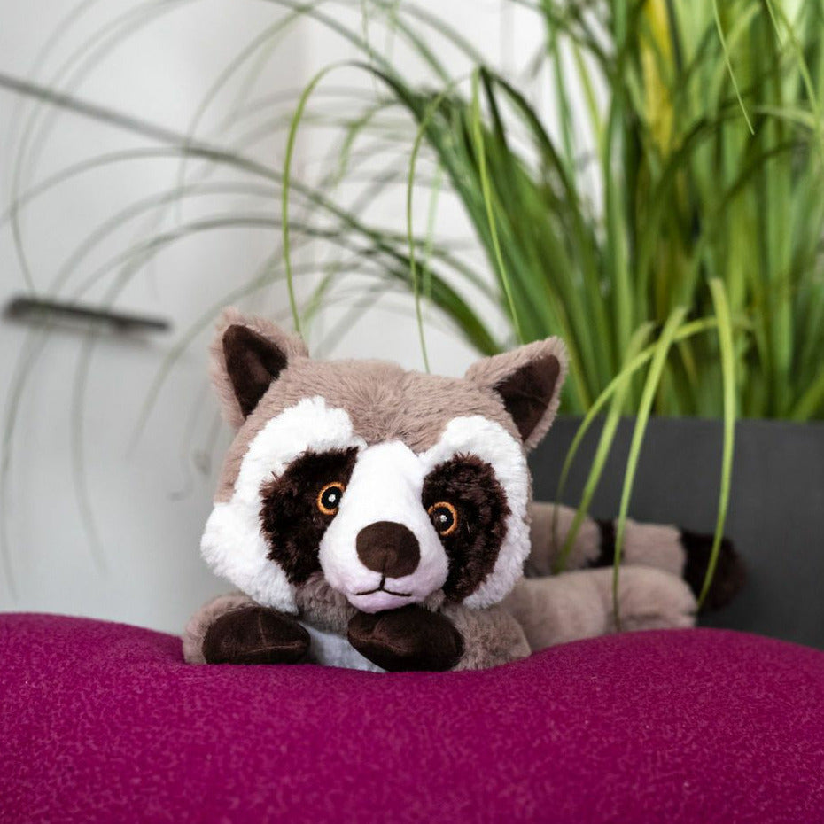 habibi-magnetron-knuffel-wasbeer-grijs-30-cm-pittenzak-warmte-knuffeldier_10410925-1