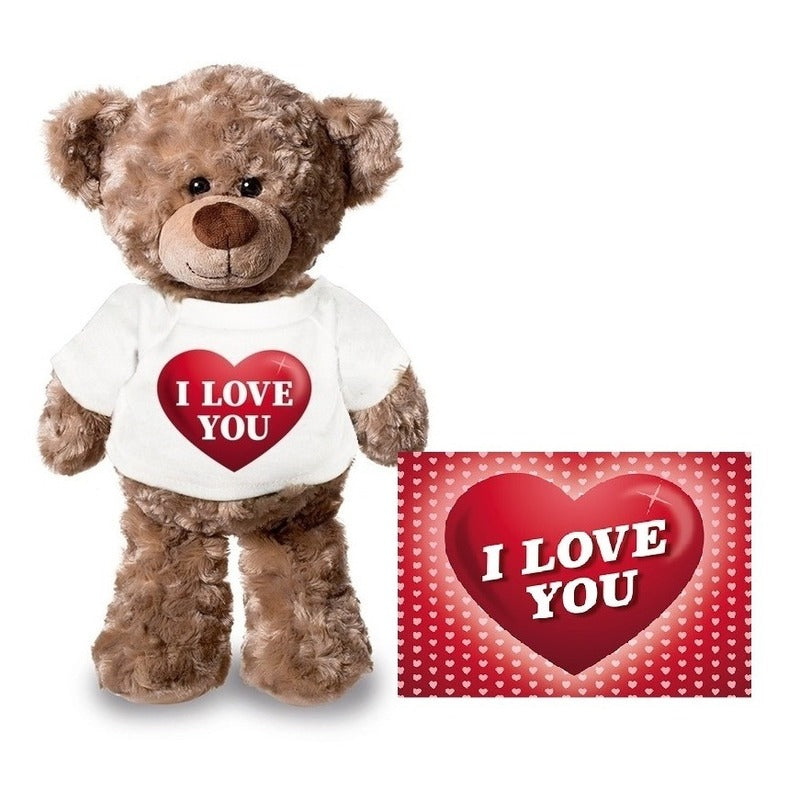 knuffel-teddybeer-met-kaart-a5-i-love-you-24-cm-pluche-met-shirt_10134926