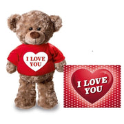 knuffel-teddybeer-met-kaart-a5-i-love-you-24-cm-pluche-met-shirt_10134938