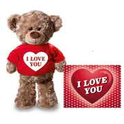 Teddybeer knuffel - pluche - 24 cm - met shirt - A5-kaart - Pluchen speelgoed