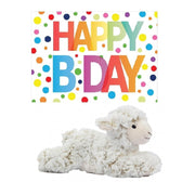 pluche-knuffel-lammetje-schaap-22-cm-met-a5size-happy-birthday-wenskaart_10330946