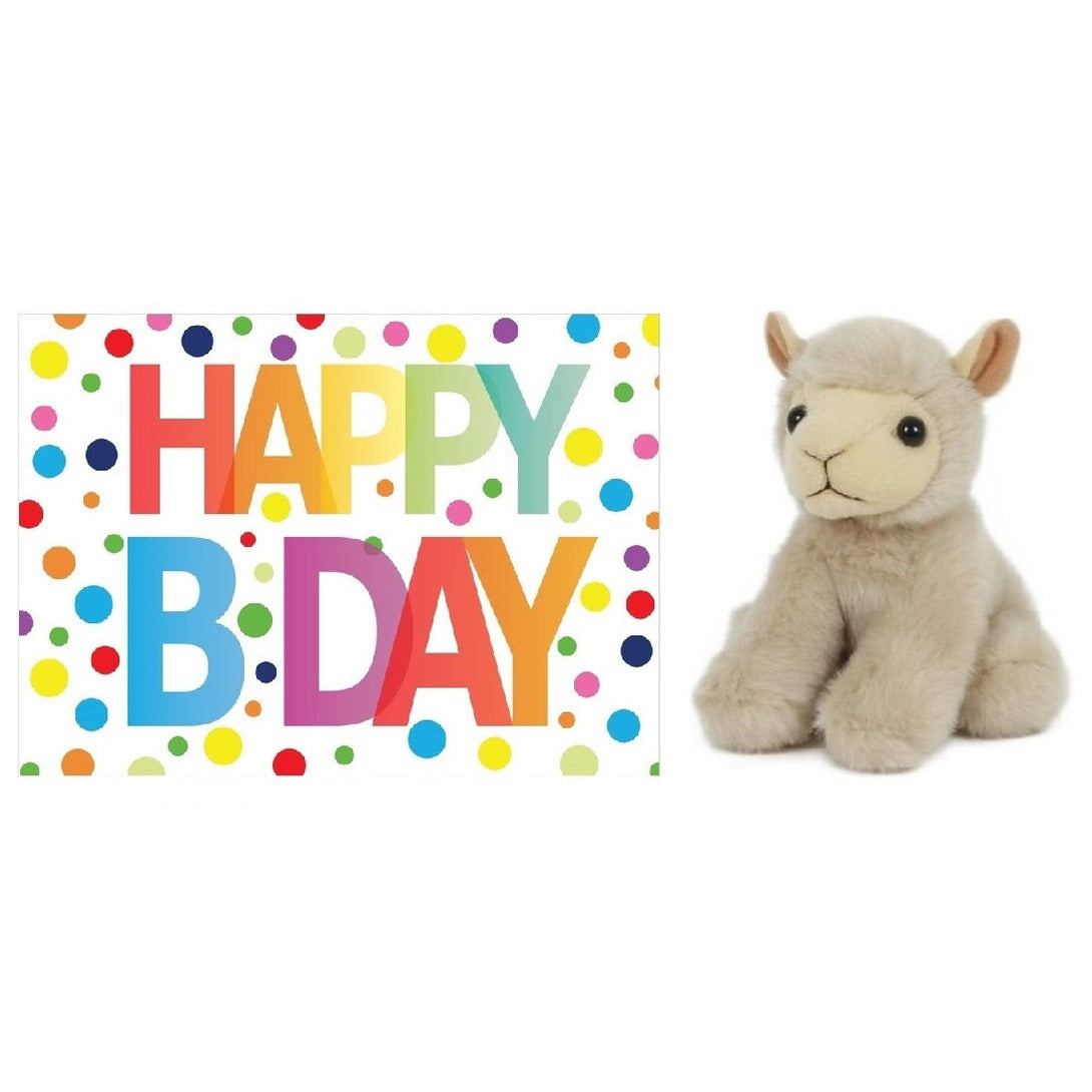 pluche-knuffel-lammetje-schaap-13-cm-met-a5size-happy-birthday-wenskaart_10330949