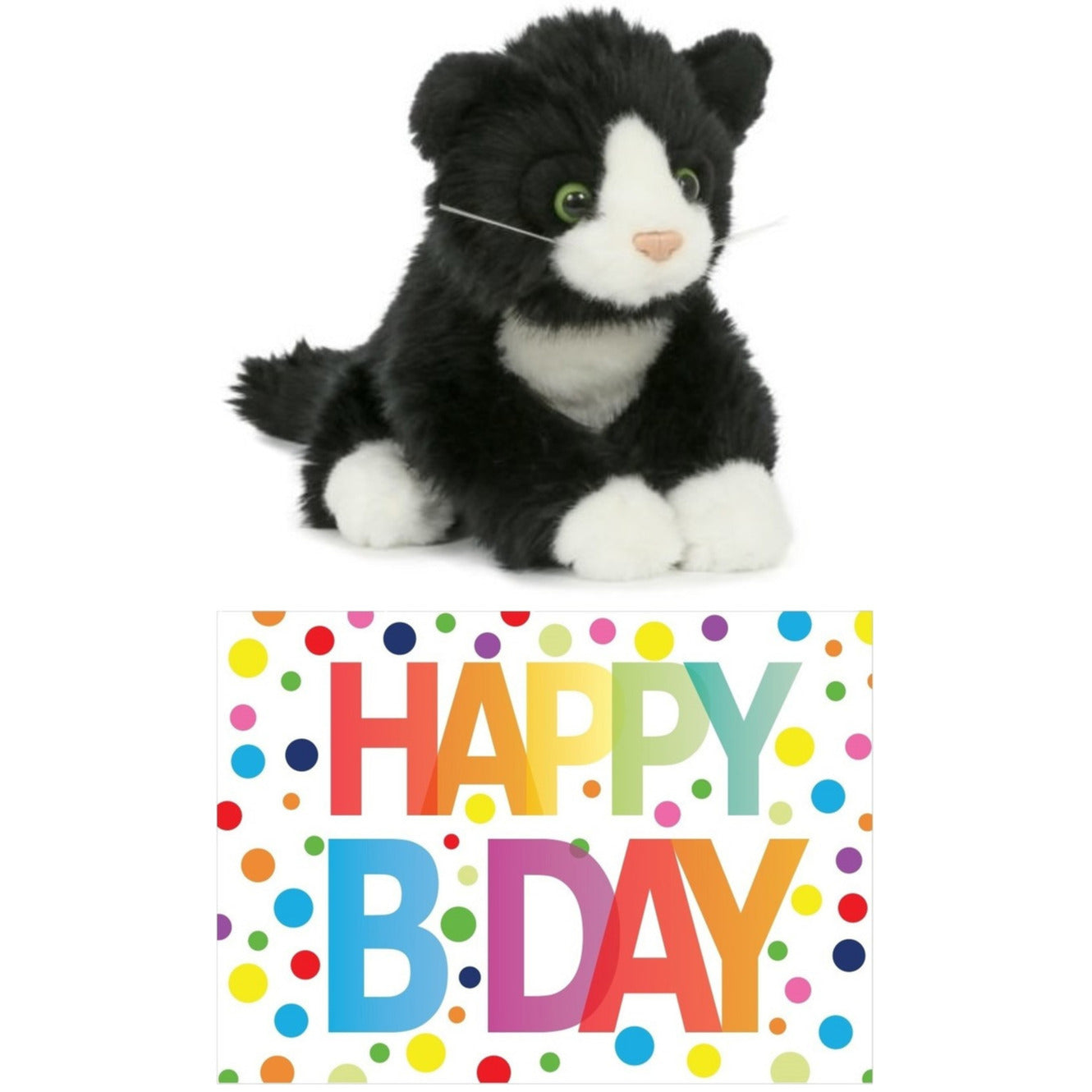 cadeau-setje-pluche-zwart-witte-kat-poes-knuffel-18-cm-met-happy-birthday-wenskaart_10250952
