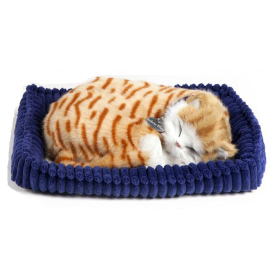 pluche-slapende-kat-rood_10074957-1