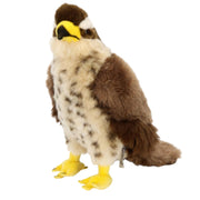 pluche-havik-knuffel-bruin-wit-23-cm-roofvogel-vogelknuffel_10065973-4