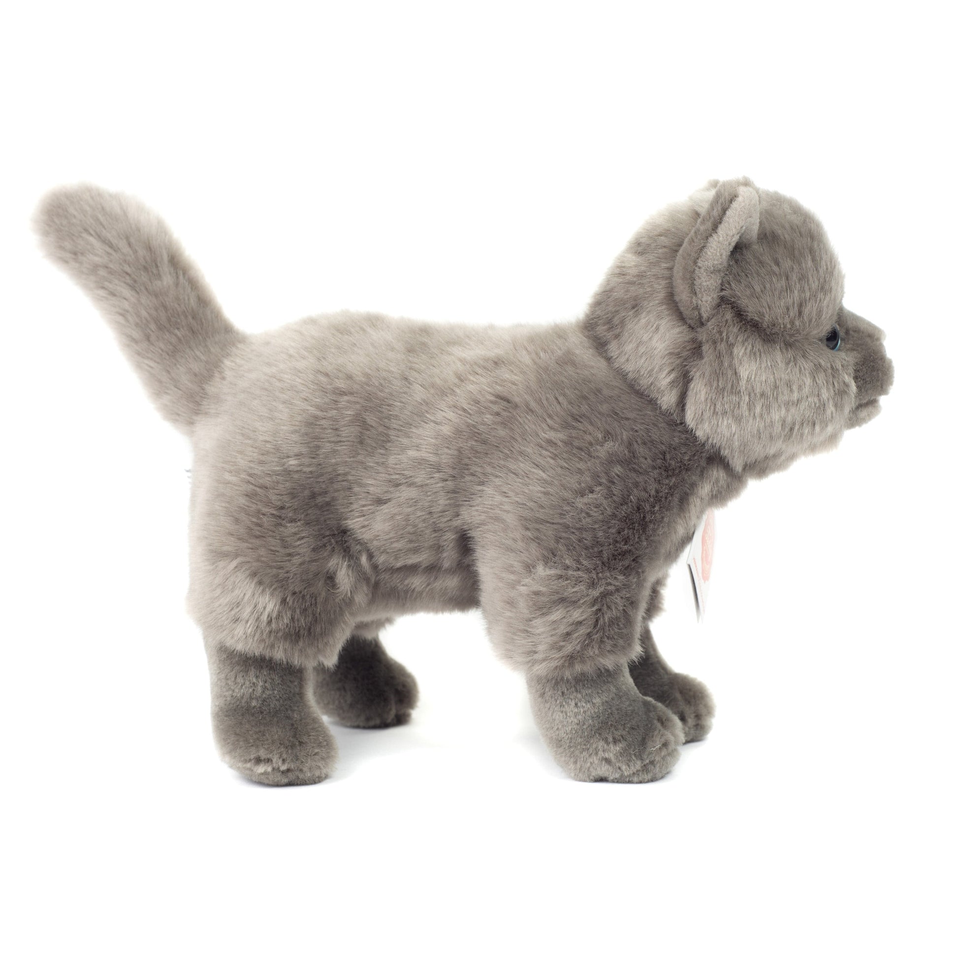 Kartuizer kat knuffel - pluche - grijs - 20 cm - Hermann Teddy - Pluchen speelgoed
