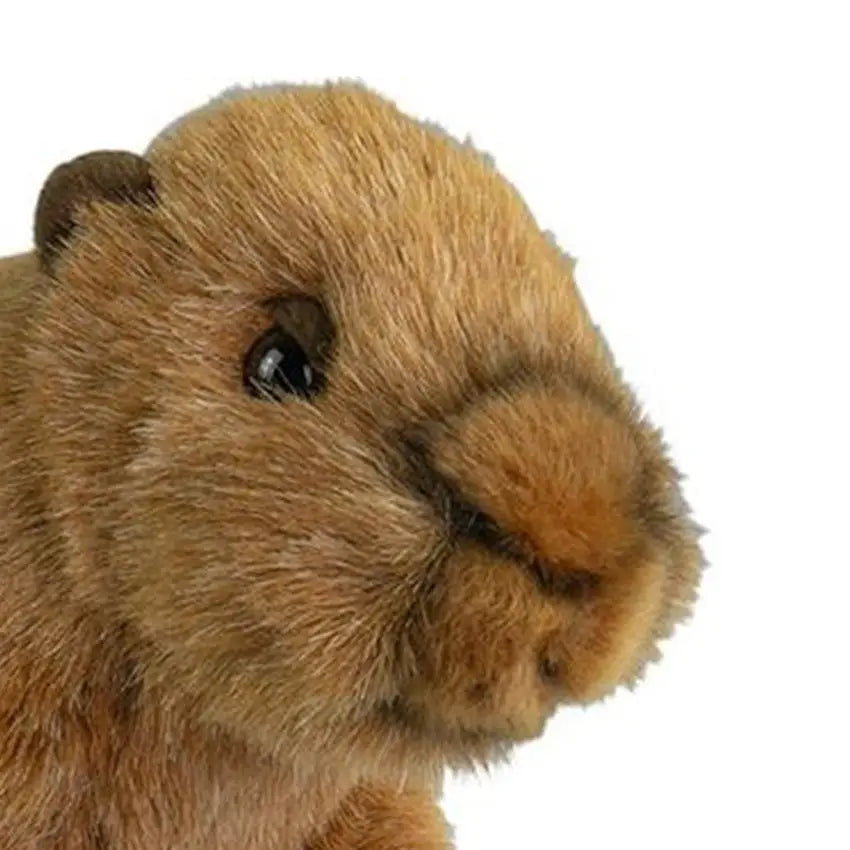 Nature Planet capybara knuffel - pluche - bruin - 20 cm - Pluchen speelgoed